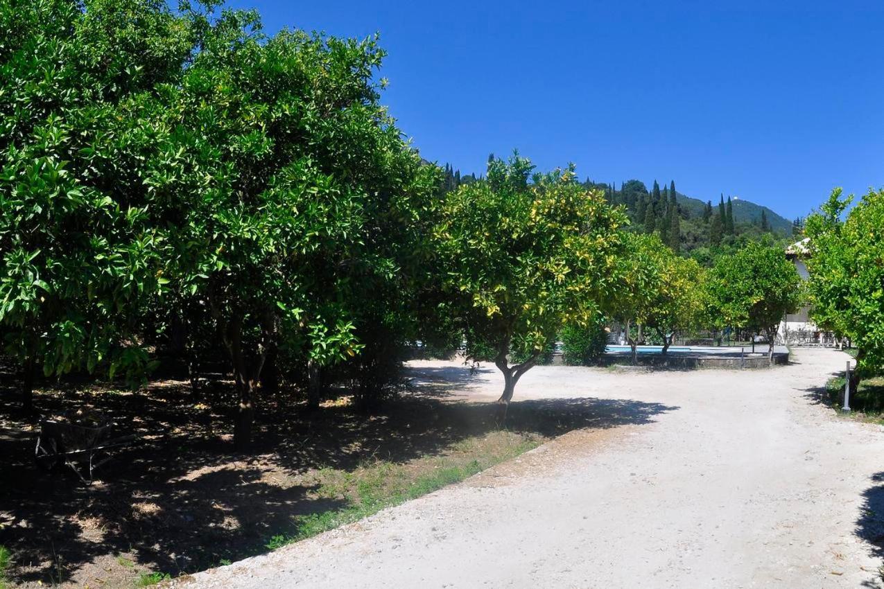 בניטסס Orange Grove Suites מראה חיצוני תמונה