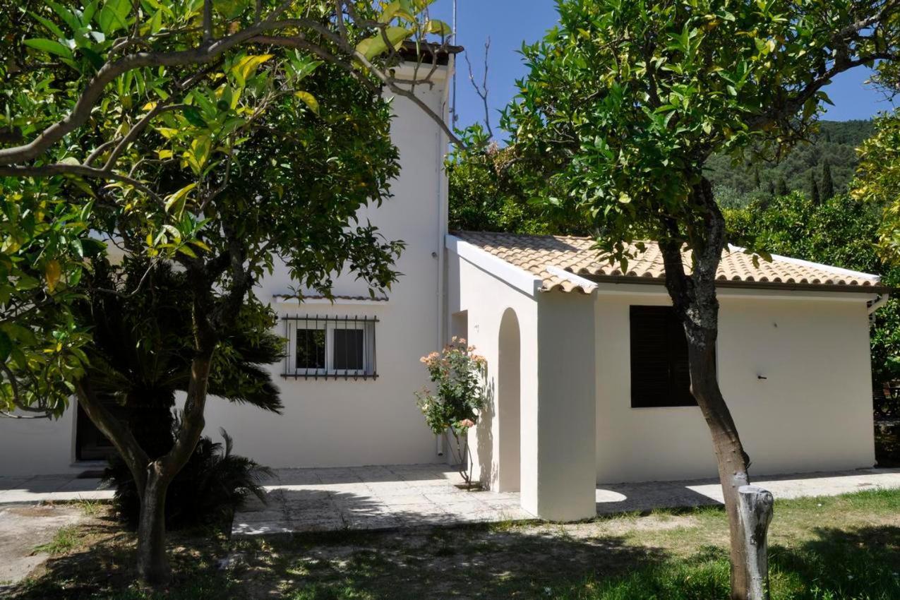 בניטסס Orange Grove Suites מראה חיצוני תמונה