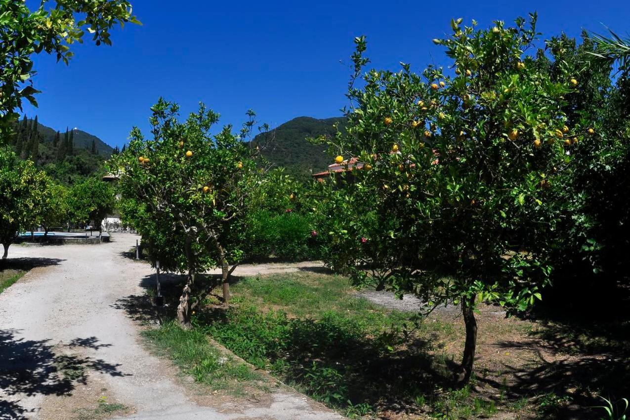 בניטסס Orange Grove Suites מראה חיצוני תמונה