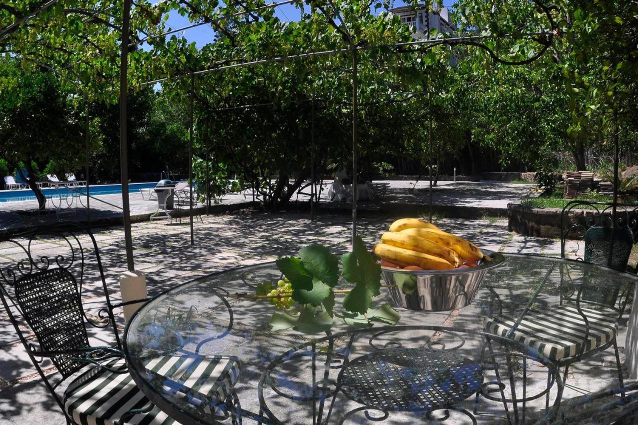 בניטסס Orange Grove Suites מראה חיצוני תמונה