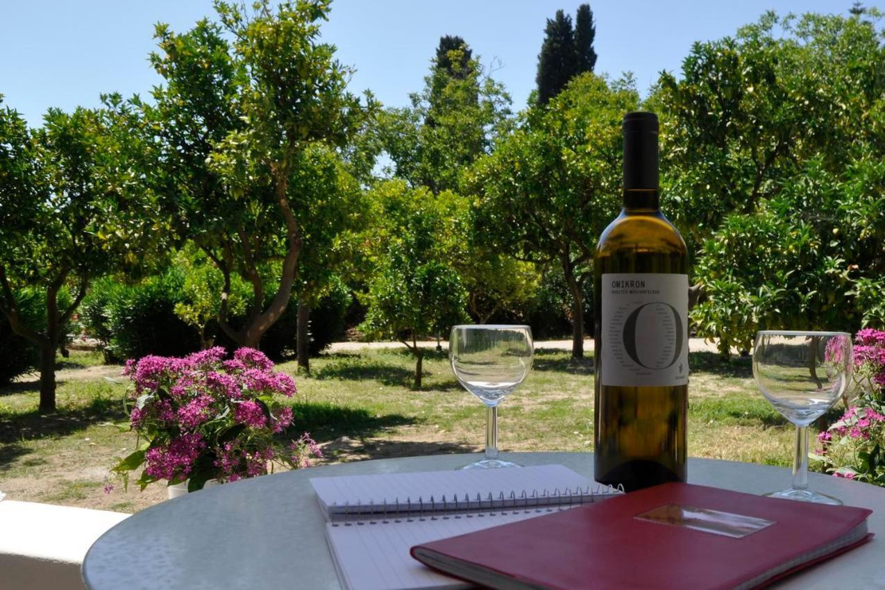 בניטסס Orange Grove Suites מראה חיצוני תמונה