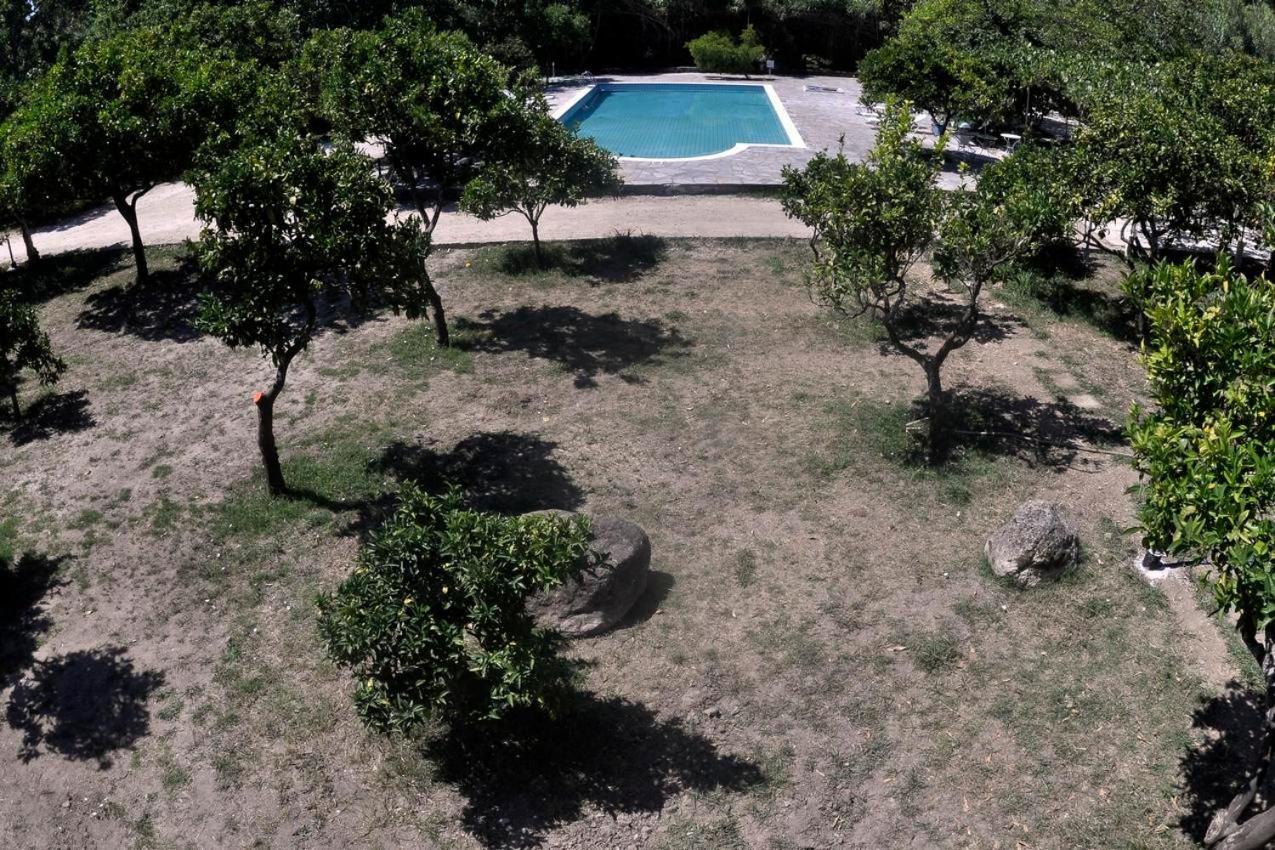 בניטסס Orange Grove Suites מראה חיצוני תמונה