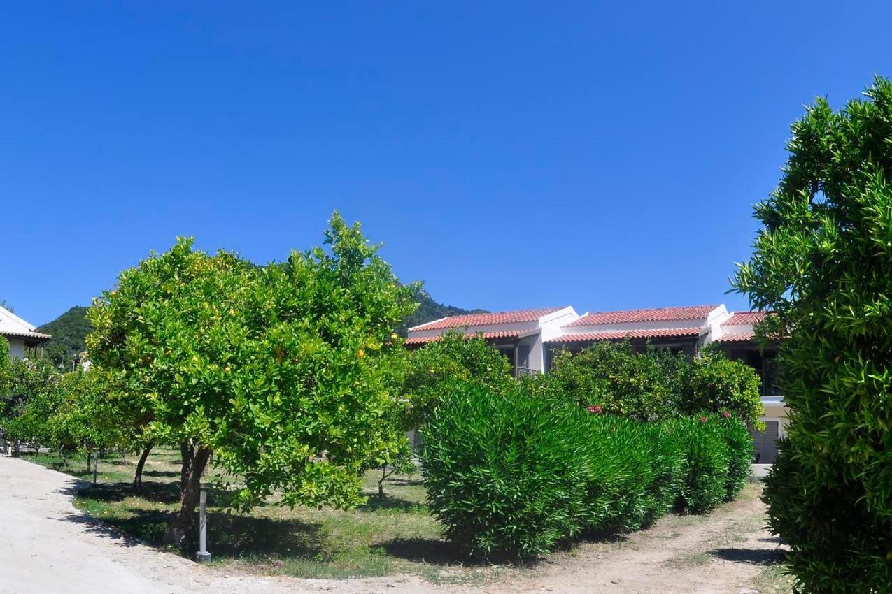 בניטסס Orange Grove Suites מראה חיצוני תמונה