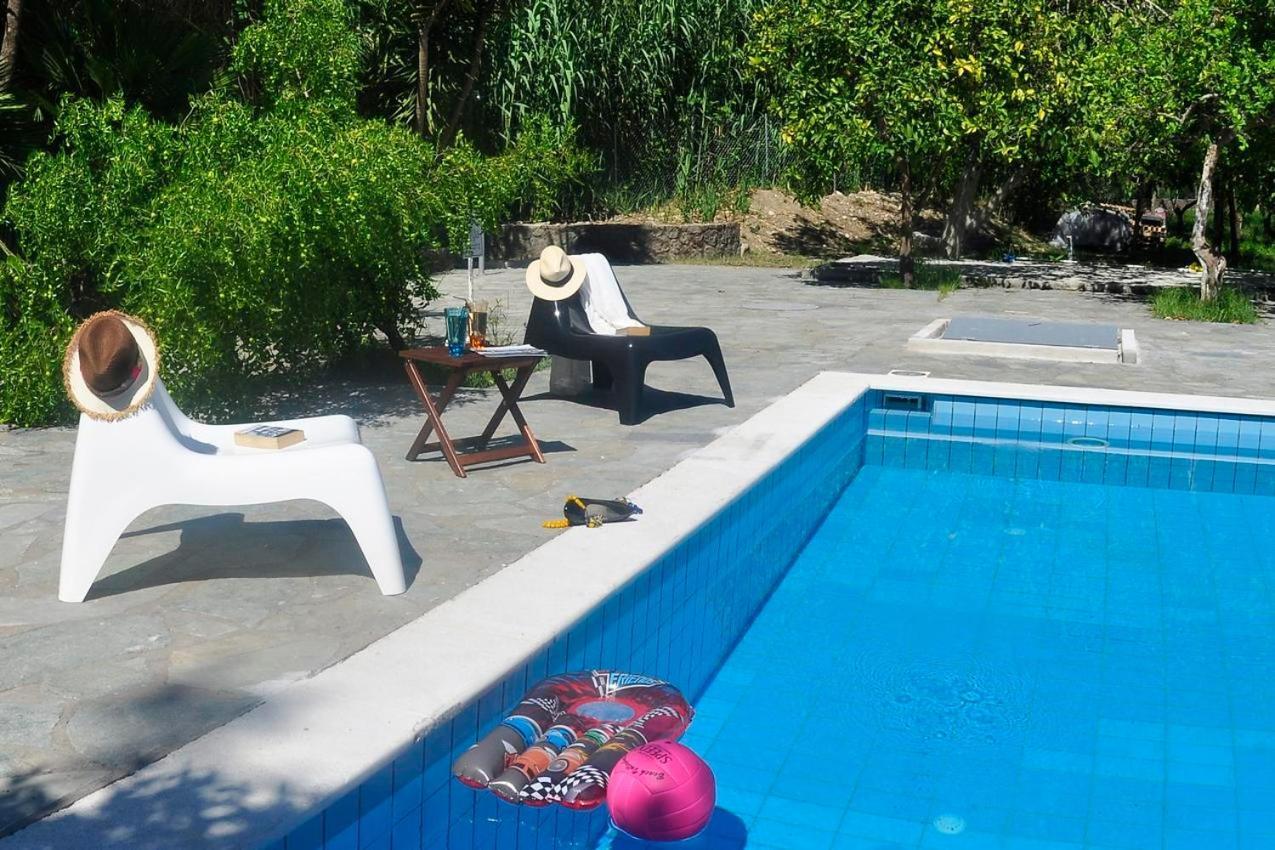 בניטסס Orange Grove Suites מראה חיצוני תמונה