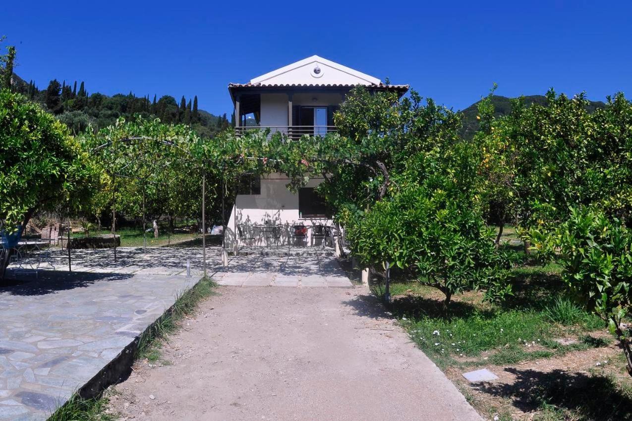 בניטסס Orange Grove Suites מראה חיצוני תמונה